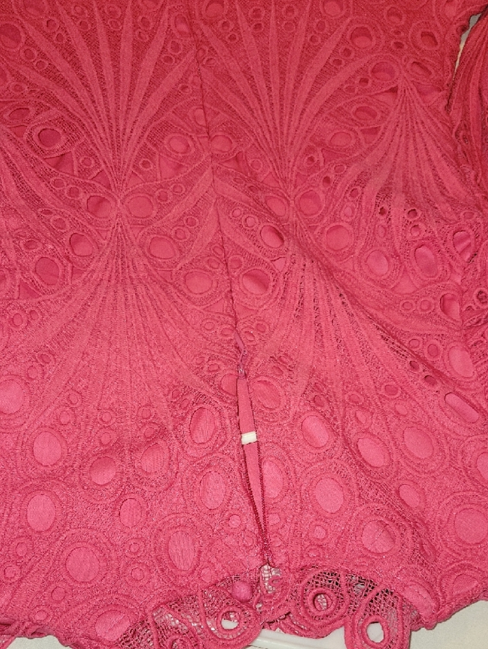 Hot Pink Lace Ruffled Mini Dress - Picture 11 of 11